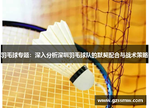 羽毛球专题：深入分析深圳羽毛球队的默契配合与战术策略