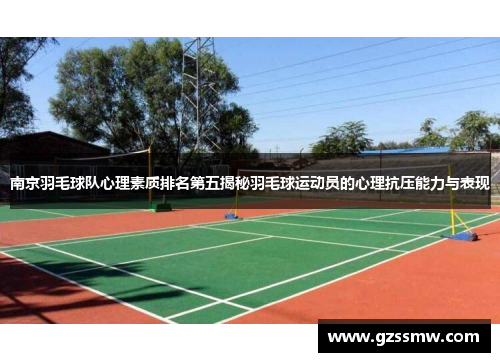 南京羽毛球队心理素质排名第五揭秘羽毛球运动员的心理抗压能力与表现