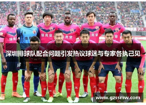 深圳排球队配合问题引发热议球迷与专家各执己见