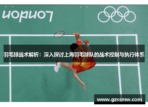 羽毛球战术解析：深入探讨上海羽毛球队的战术控制与执行体系
